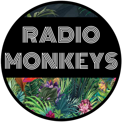 Radio Monkeys groupe de rock Clermontois