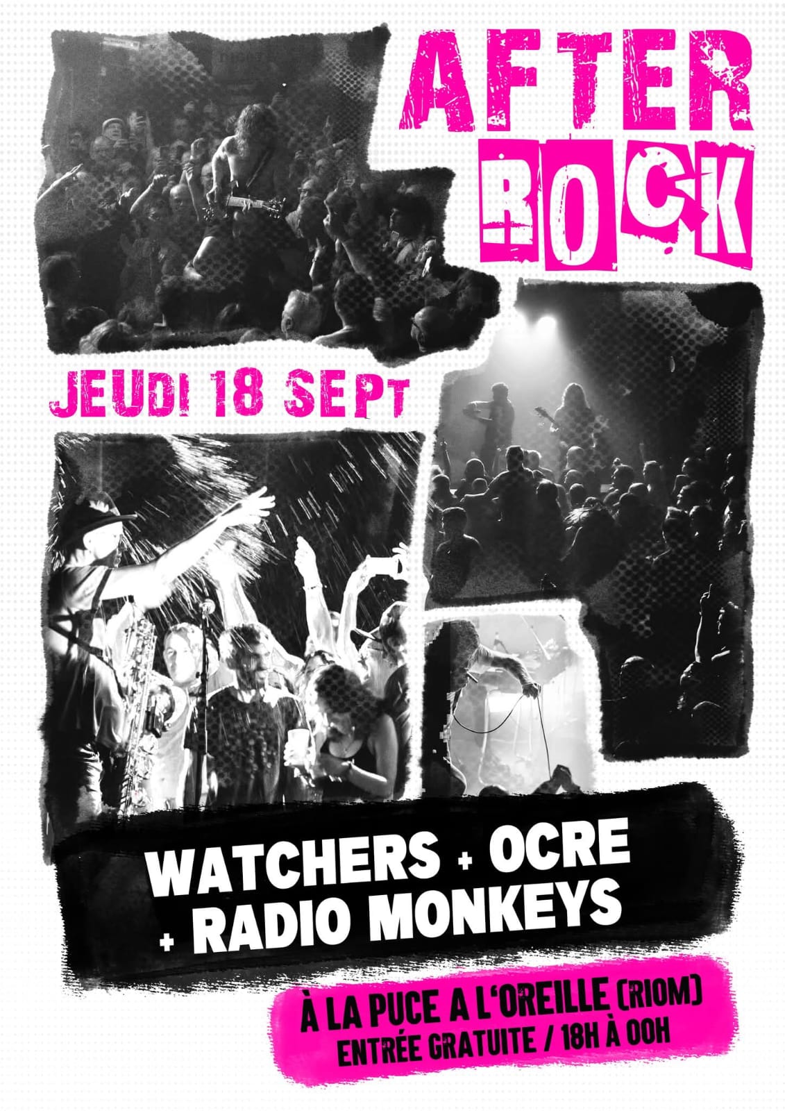 radio monkeys puce a l'oreille 2025